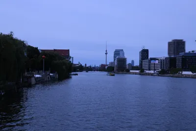 DSC_1816 (Large).JPG